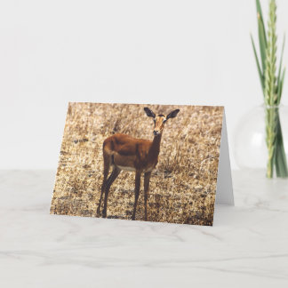 Tarjeta Señora agraciada (impala)