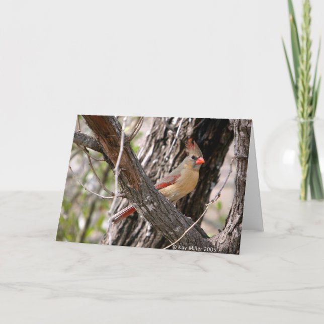 Tarjeta Señora Cardinal-2004 (Anverso)