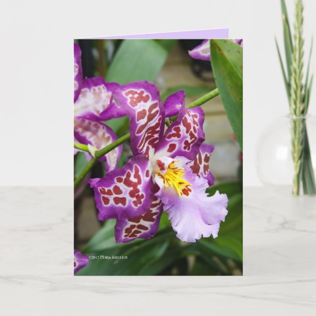 Tarjeta Señora de lujo Orchid (Anverso)