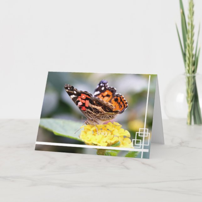 Tarjeta Señora pintada americano Butterfly Blank Notecard (Anverso)