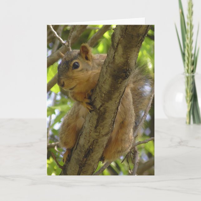 Tarjeta Señorita, Vamos a aguantar pronto la ardilla (Anverso)