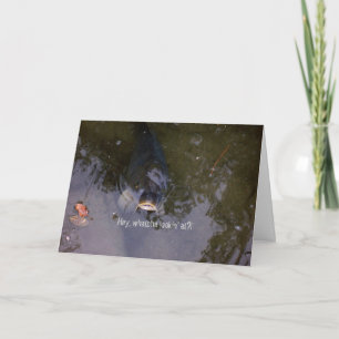 Tarjeta Sensación De Pescado