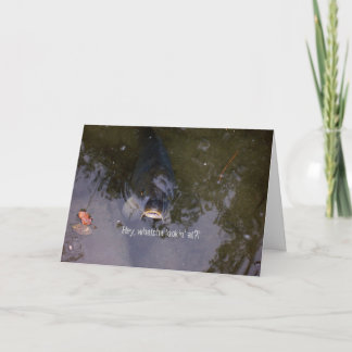 Tarjeta Sensación De Pescado