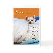 Sensación un mejor, acogedor y cómodo perro de