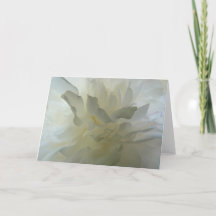 Sensual Delight AH2010