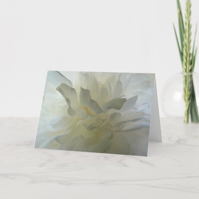 Tarjeta Sensual Delight AH2010 (Anverso)