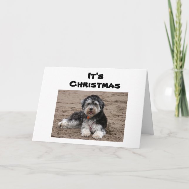 TARJETA SENTADO AQUÍ PENSANDO EN USTEDES EN NAVIDADES (Anverso)