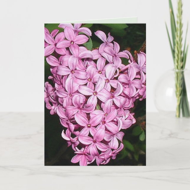 Tarjeta Sentimiento de LIlacs (Anverso)
