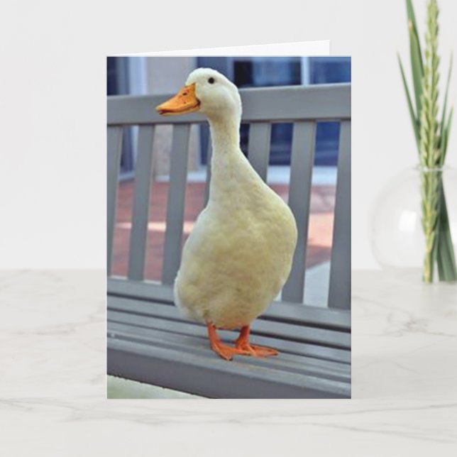 Tarjeta "SENTING DUCK" dice ***TE FALTA*** BOO HOO (Anverso)