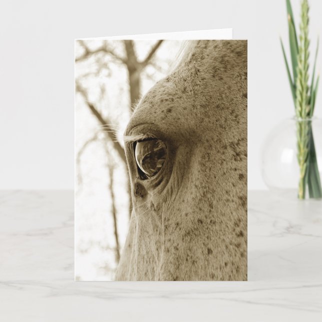 Tarjeta Sepia Foto de un ojo de caballo gris envuelto (Anverso)