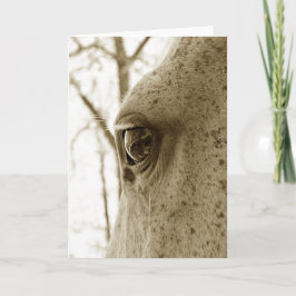 Tarjeta Sepia Foto de un ojo de caballo gris envuelto
