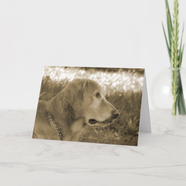 Tarjeta Sepia Golden Retriever (Anverso)