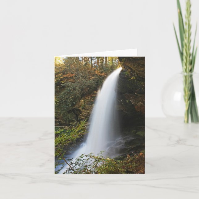 Tarjeta Seque las caídas (Anverso)