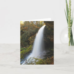 Tarjeta Seque las caídas