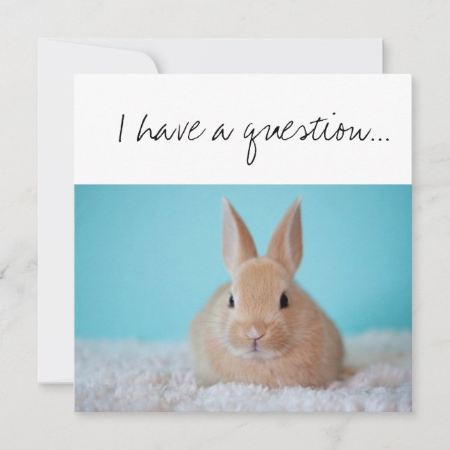 Tarjeta ¿Serás tú la propuesta de DiosPadre Brown Bunny? (Anverso)
