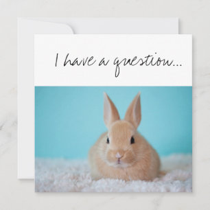 Tarjeta ¿Serás tú la propuesta de DiosPadre Brown Bunny?