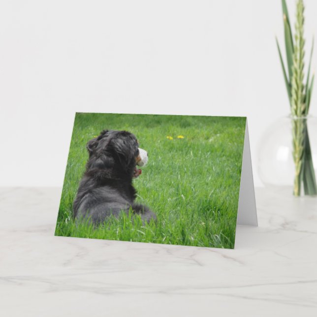 Tarjeta Serena al sol (Anverso)