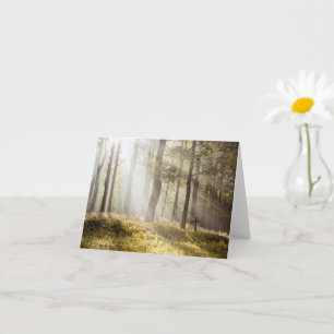 Tarjeta Sereno bosque soleado cruz memorial simpatía