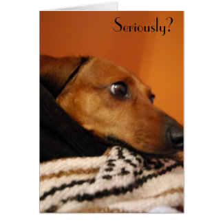 Tarjeta seria del perrito