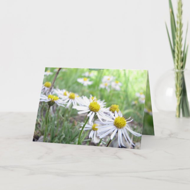 Tarjeta Serie alpina (Anverso)