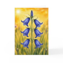Serie de Pétalo Radiante – BlueBell