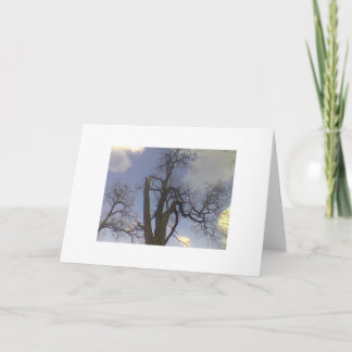 Tarjeta Serie del árbol del cielo