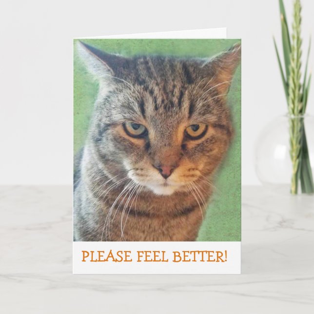 Tarjeta Serious Kitty Get Well Card (Anverso)