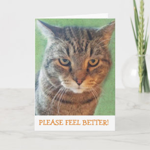 Tarjeta Serious Kitty Get Well Card