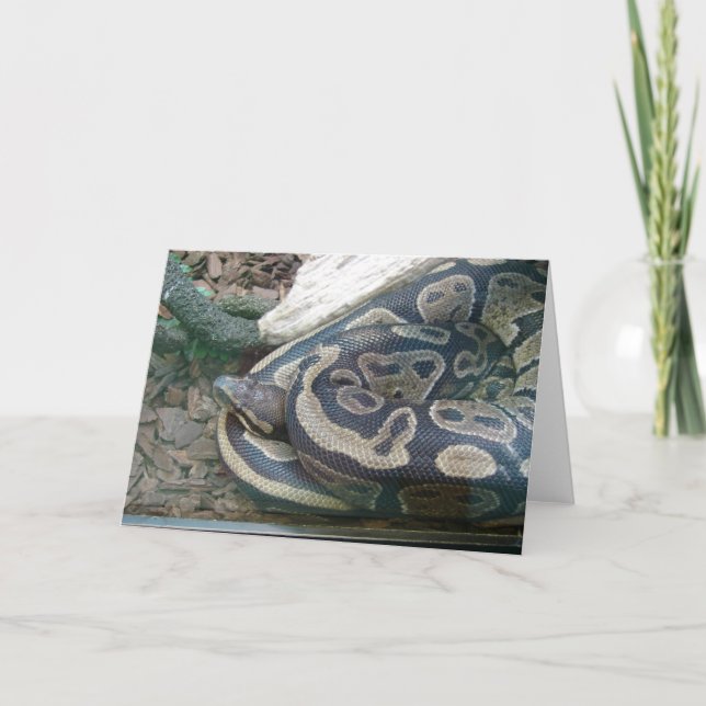 Tarjeta Serpiente de la boa (Anverso)