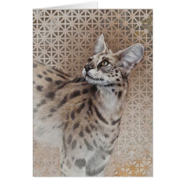 Tarjeta Serval Blank De Andrew Denman (Frente)