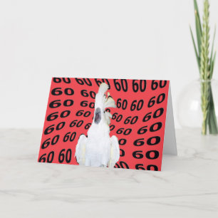 Tarjeta Sesenta años