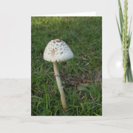 Tarjeta Seta encantada Notecards (espacio en blanco