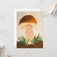 seta porcini