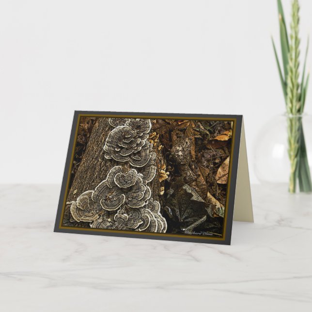 Tarjeta setas (Anverso)