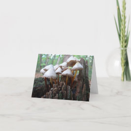 Tarjeta Setas en un tocón viejo Notecard