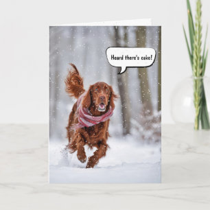 Tarjeta Setecientos Irlandeses Corriendo En Nieve
