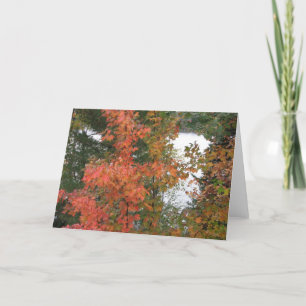 Tarjeta Setiembre por la mañana