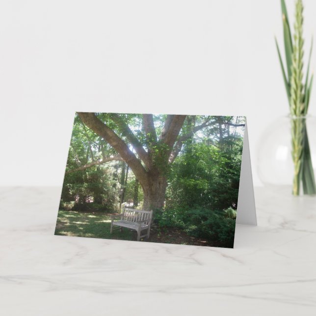 Tarjeta Shady Place to Relax Greaming Card (Anverso)