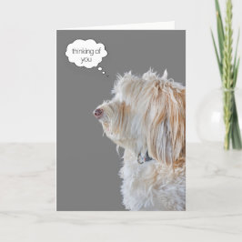 Tarjeta Shaggty Poodle Retrato Pensando en ti