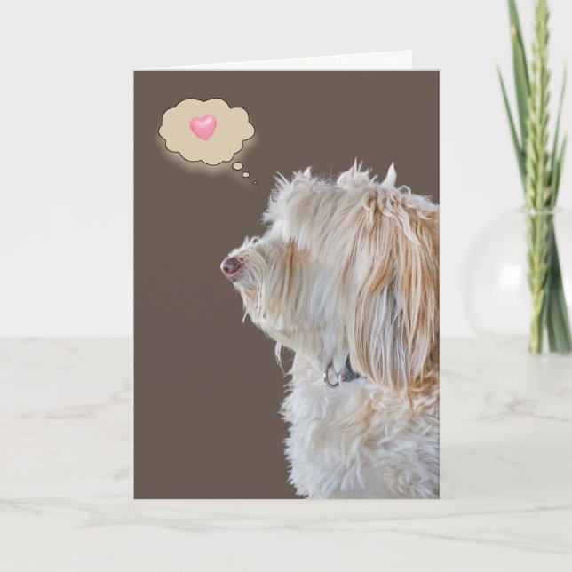 Tarjeta Shaggty Poodle Retrato Pensando en ti (Anverso)