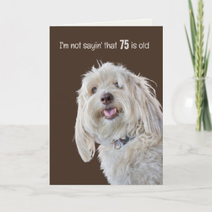 Tarjeta Shaggy Poodle para el humor de cumpleaños 75