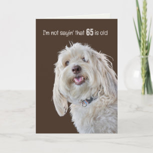 Tarjeta Shaggy Poodle por el humor de cumpleaños número 65