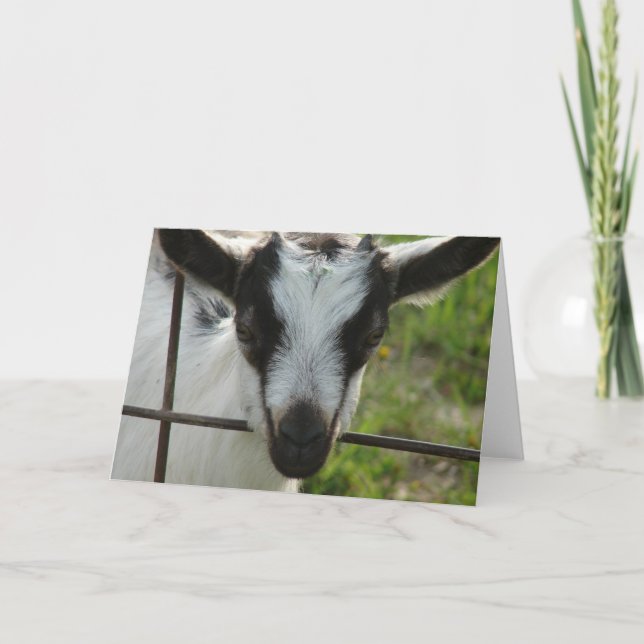 Tarjeta Shamrock (Anverso)