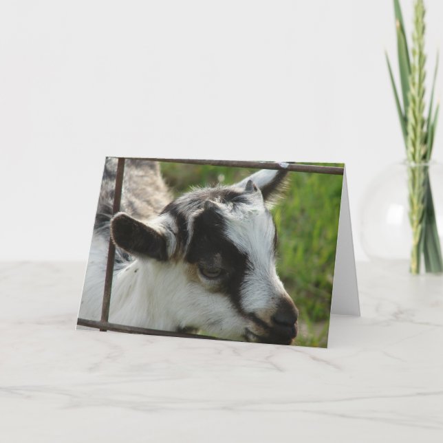 Tarjeta Shamrock (Anverso)