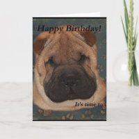 Shar Pei Birthday-Take Paws