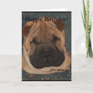 Tarjeta Shar Pei Birthday-Take Paws