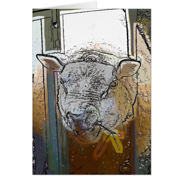 Tarjeta SHEEP (Frente)