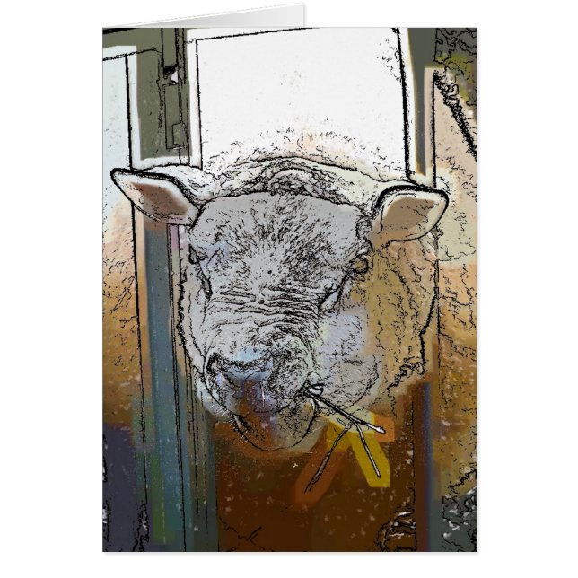 Tarjeta SHEEP (Frente)