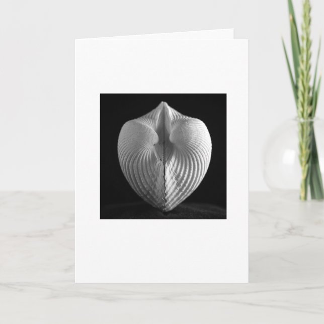 Tarjeta Shell (Anverso)