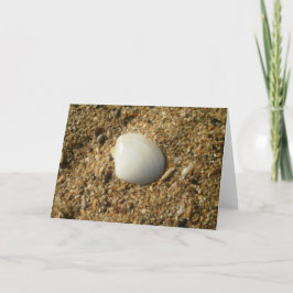 Tarjeta Shell blanco en la playa